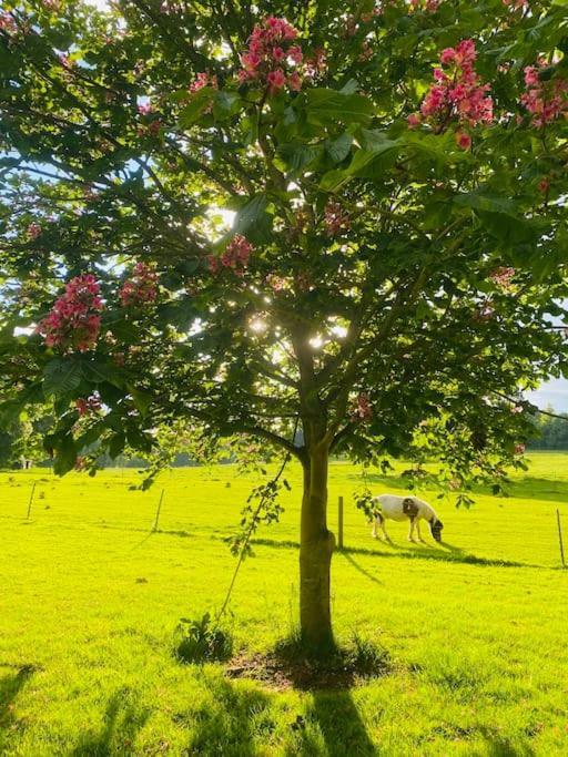 Stunning Countryside With Hot Tub - Sleeps 8 Thurgarton (Nottinghamshire)