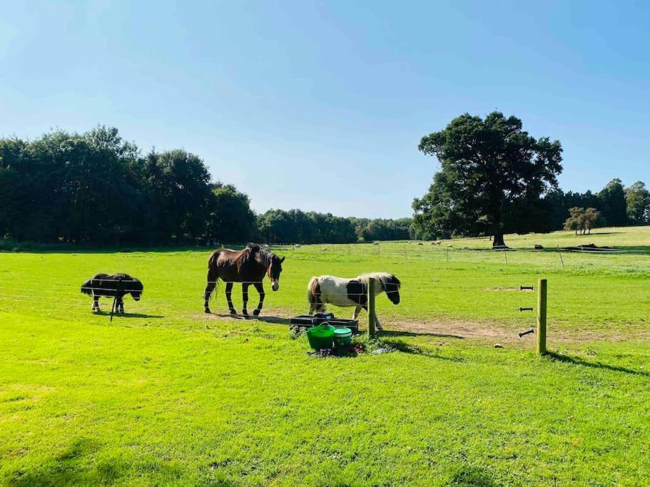 Stunning Countryside With Hot Tub - Sleeps 8 Holiday home